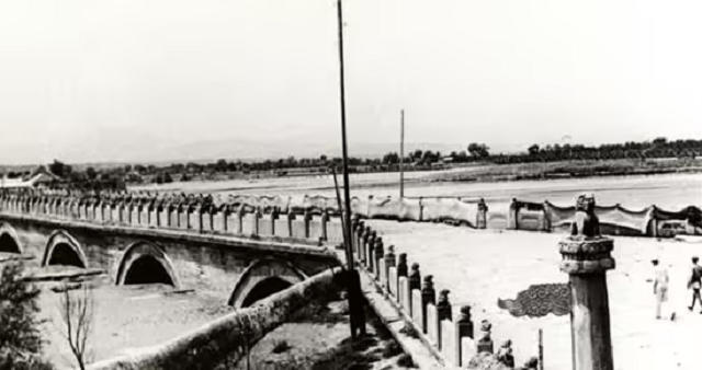 1763691522593.png 1.png